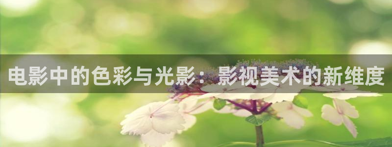 八妻伦理影院：电影中的色彩与光影：影视美术的新维度