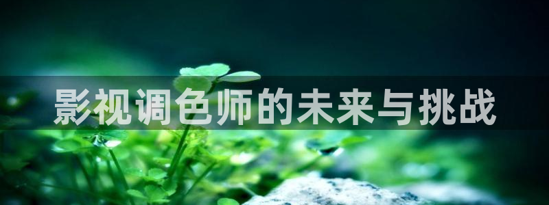 新神马伦理影院：影视调色师的未来与挑战