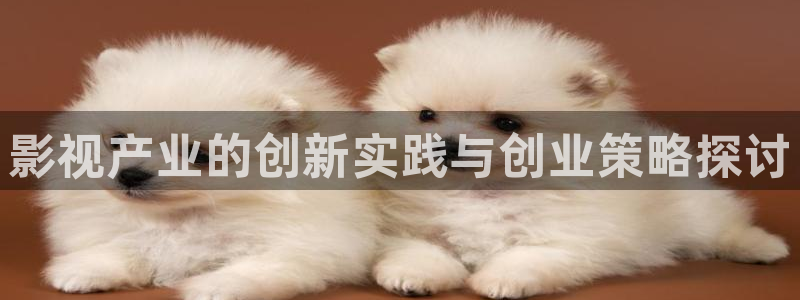 俄罗斯伦理视频：影视产业的创新实践与创业策略探讨