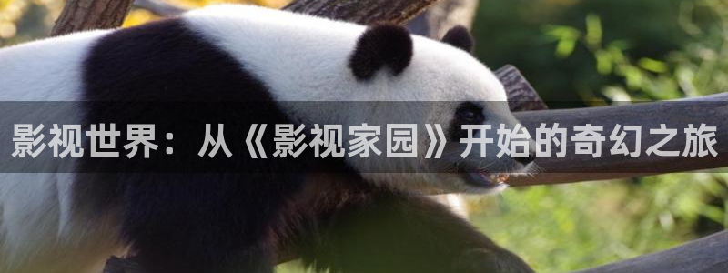 大陆伦理视频：影视世界：从《影视家园》开始的奇幻之旅