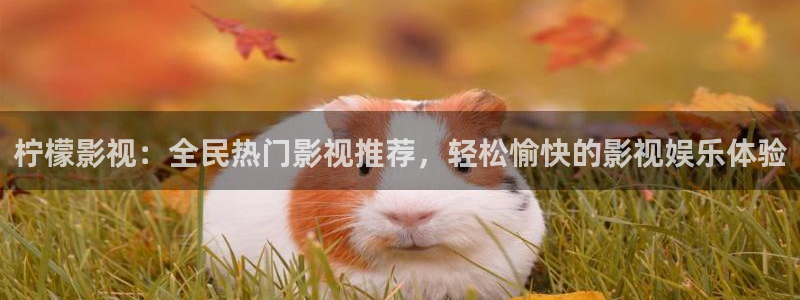 天堂伦理影片：柠檬影视：全民热门影视推荐，轻松愉快的影视娱乐体验