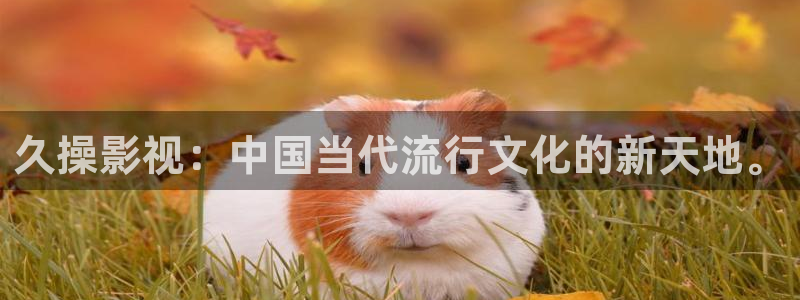 秋霞伦理影视网：久操影视：中国当代流行文化的新天地。