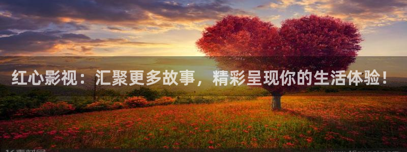 木瓜伦理影院：红心影视：汇聚更多故事，精彩呈现你的生活体验！