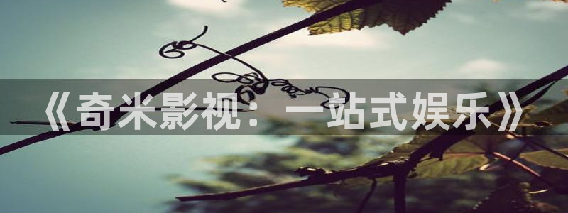 韩国午夜伦理影院：《奇米影视：一站式娱乐》