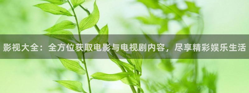 手机在线伦理影院：影视大全：全方位获取电影与电视剧内容，尽享精彩娱乐生活