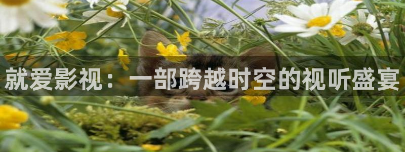 免费伦理影视：就爱影视：一部跨越时空的视听盛宴