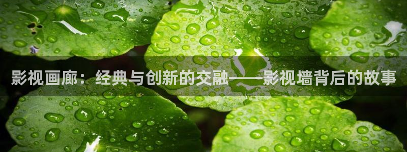 80e伦理影院：影视画廊：经典与创新的交融——影视墙背后的故事