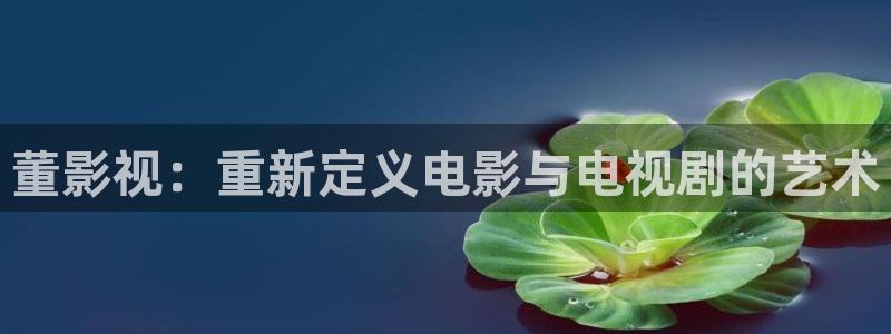 欧美成人伦理影院：董影视：重新定义电影与电视剧的艺术